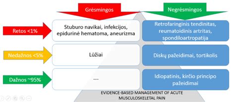 Simptomų, rodančių ECU gedimą, vizualizacija