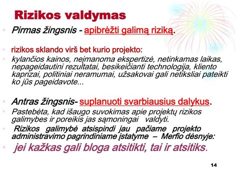 Grafikas: rizikos valdymo principai draudime