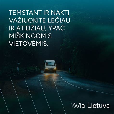 statistikos duomenys apie susidūrimus su gyvūnais keliuose