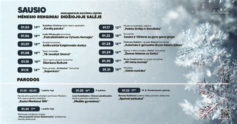 Infografika: Ridos tikrinimo procesas ir sankcijos pagal datą