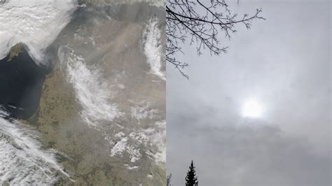 nuotrauka, kurioje matomos įtrūkusios ir susidėvėjusios SAAB vakuumo žarnelės