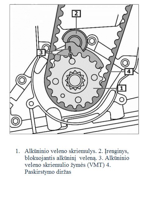 Schema, iliustruojanti paskirstymo diržo ir jo komponentų (įtempiklio, vandens pompos) išdėstymą variklio bloke.