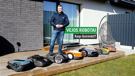 Teminė nuotrauka: besivystantis vejos rulonas