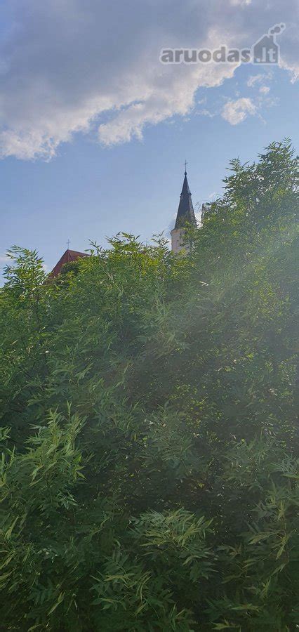 Tematinė nuotrauka: žmogus džiaugiasi vaizdu pro panoraminį stogą