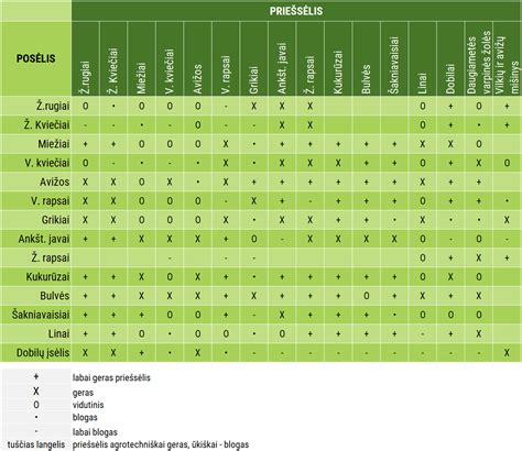 Lentelė su skirtingomis lizingo ir kredito pasiūlymų palyginimo galimybėmis