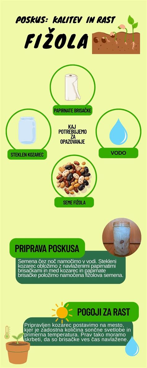 Infografika: įkrovimo etapai (masinis, absorbcijos, plūduriuojanti)