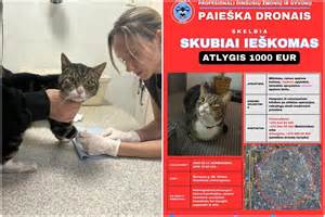 Schematinis dyzelio turbokompresoriaus ir interkulerio sistemos pavaizdavimas