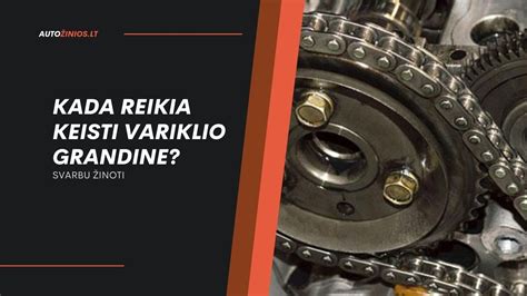 Svarbiausių variklio komponentų, tokių kaip grandinė ir turbina, techninė priežiūra