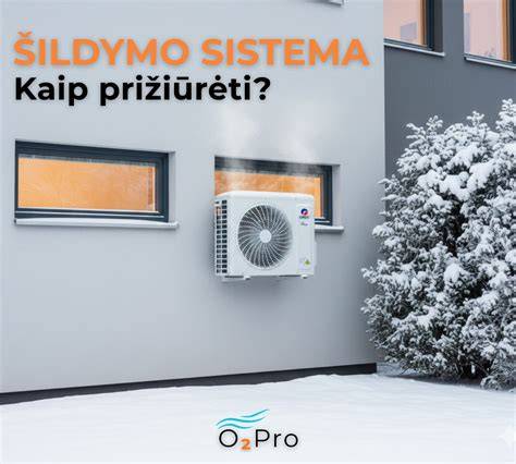 infografika: kondicionieriaus sistemos klausimai ir patikros žingsniai