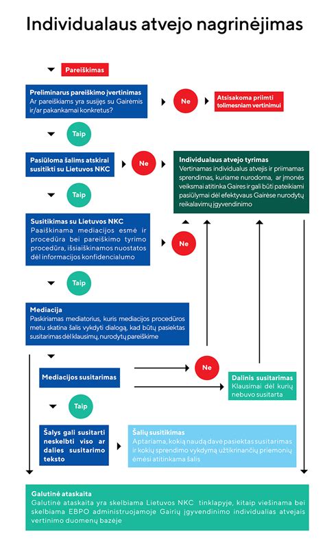 Kartografinė schema: priverstinio išieškojimo procesas