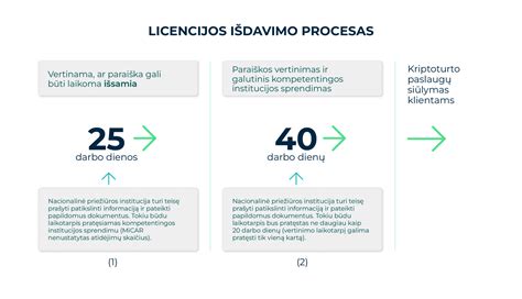 Infografika, lyginanti skirtingų automobilių nuomos paslaugų teikėjų Kaune kainas ir sąlygas