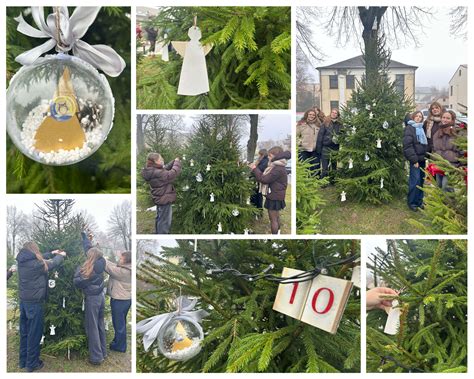 Infografika: skirtingų protektorių raštų (eglutė, linijinis) pritaikymas įvairiems paviršiams