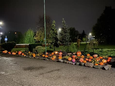 Nuotrauka su šviečiančių moliūgų alėja parke arba gimnazijos erdvėje