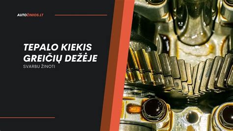 automobilio greičių dėžės ir atbulinės eigos jungiklio schema