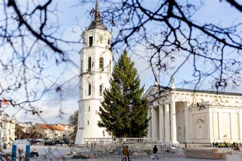 Vilniaus Kalėdų eglė Katedros aikštėje