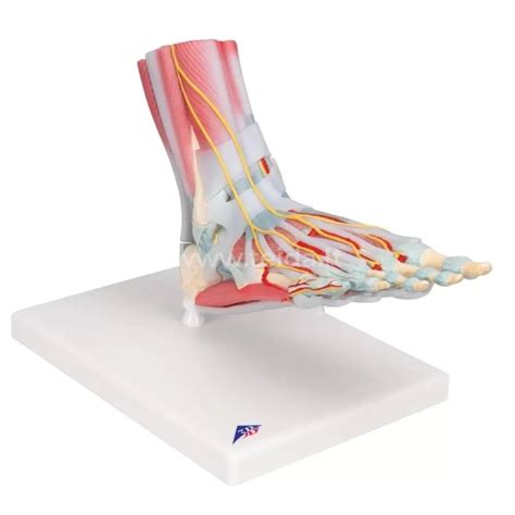 nuotrauka su automobilių dalių katalogu internetinėje parduotuvėje