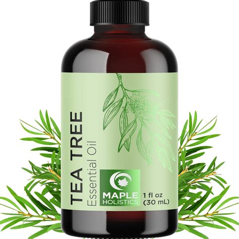 Thematic photo of car interior cleaner with natural ingredients like tea tree, juniper, eucalyptus leaves in the background