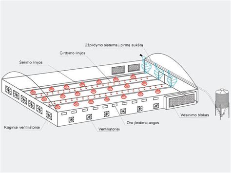 Nipelinių girdyklų sistemos schema paukščių auginimui