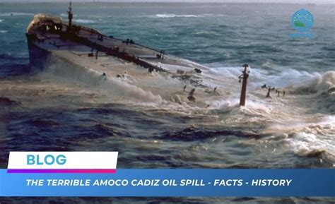 Tanklaivio „Amoco Cadiz“ gelbėjimo operacijos nuotrauka