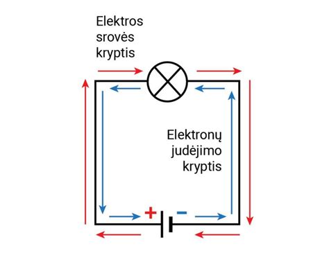 Infografika: Ksenoninio žibinto struktūra su balastu ir lempute