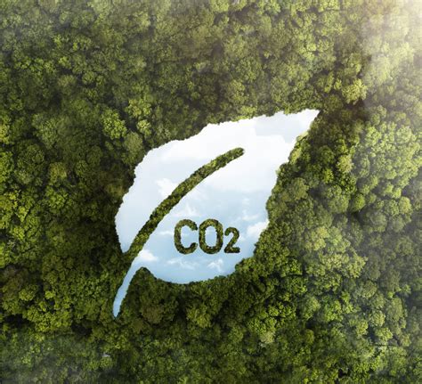 Infografika: CO2 emisijų šaltiniai Lietuvoje ir jų poveikis aplinkai