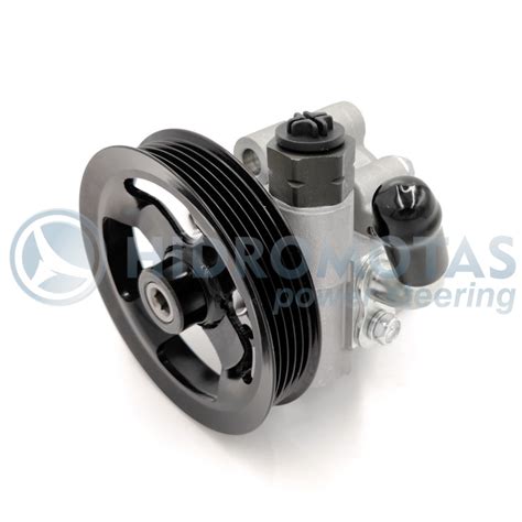 Schematinis vairo stiprintuvo siurblio pjūvis, vaizduojantis pagrindines dalis.