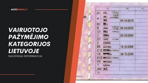 Infografika: Tarptautinio vairuotojo pažymėjimo tipai, galiojimo laikai ir konvencijų atitikmenys