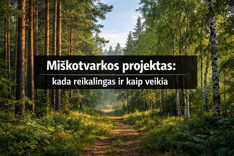 Infografika: kaip veikia tachografas ir kada reikalingas blankas