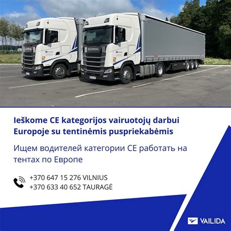 Infografika: CE kategorijos vairuotojo darbo tinklas Europoje