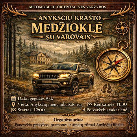 Žemėlapio vaizdas su Anykščių automobilių plovyklių žymėmis