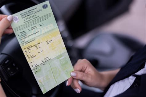 Infografika: dažniausiai vežami automobilio dokumentai ir kortelės
