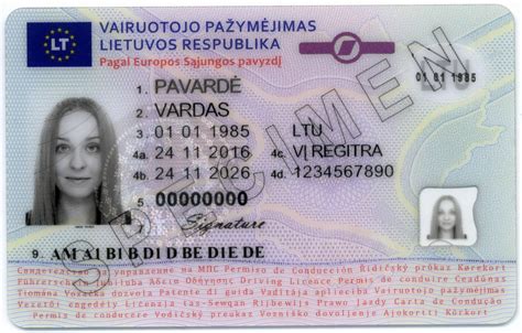 Tarptautinio vairuotojo pažymėjimo pavyzdys su pagrindine informacija