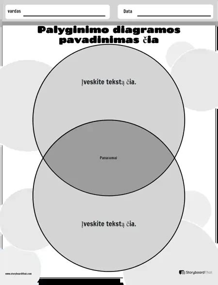 Vizų tipų palyginimo diagrama