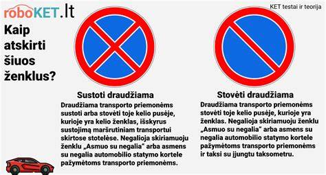 Infografika: Kaip veikia neįgaliųjų parkavimo ženklai ir jų lengvatos