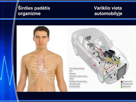 Schema, iliustruojanti triukšmo šaltinius automobilyje: variklis, transmisija, išmetimo sistema, padangos, vėjas.