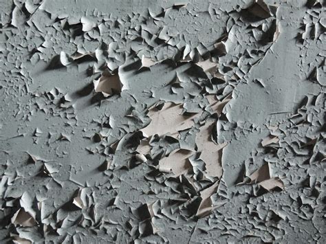 Photo of Peugeot 806 exterior, highlighting potential paint peeling areas
