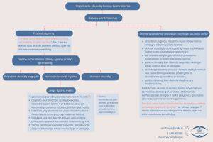 Nuotraukų fiksavimo proceso schema