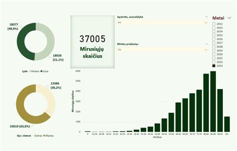 Infografika apie avarijų statistiką Lietuvoje: pagrindinės priežastys, rizikingiausios vairuotojų grupės pagal amžių ir stažą