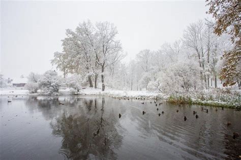 Ilustracija: įvairios žiemos kelio sąlygos: sniegas, ledas, plikledis.