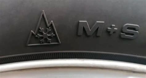 Simbolis: ledo stalagmitas (3PMSF ženklas).