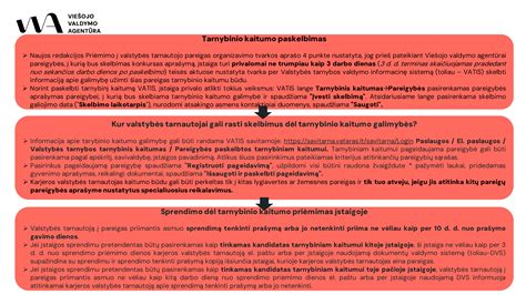Informacinė schema: SDK patikra ir apribojimai