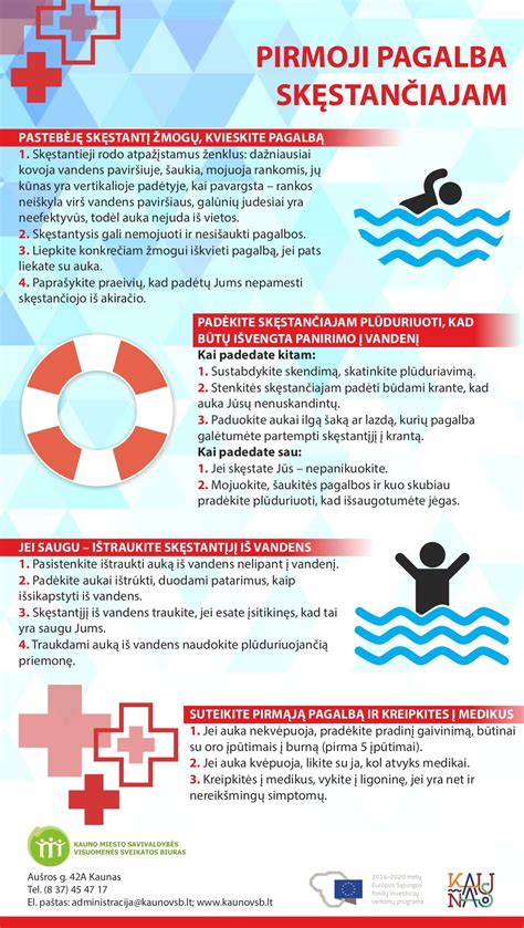 Infografika: BVPŽ struktūra ir klasifikavimo principai