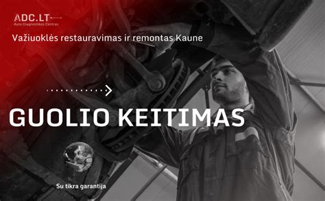 Sferinio ritininio guolio pjūvis