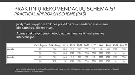 Svarbių taisyklių ir rekomendacijų schema