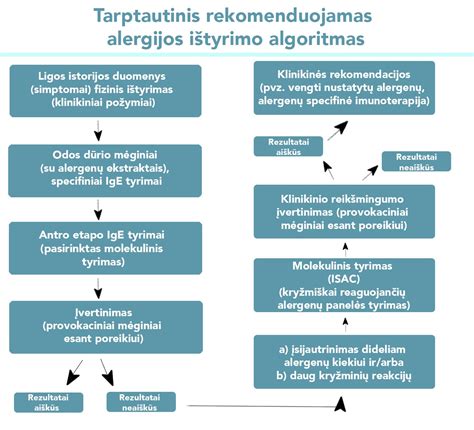 schema: žalos nustatymo eiga nuo pranešimo apie įvykį iki išmokos gavimo