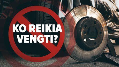 Infografika: stabdžių diskų apsaugų funkcija ir keitimo etapas
