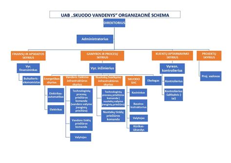 Infografinė įmonės organizacinė schema: darbdavys - Belgija - Vilkaviškis - darbuotojai - transporto priemonės