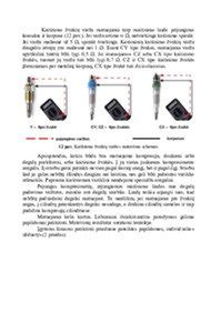 Kompresijos testerio nuotrauka, naudojamo variklio cilindrų kompresijai matuoti