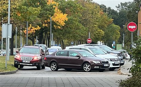 Infografika: dažniausiai superkamų automobilių tipai Alytuje