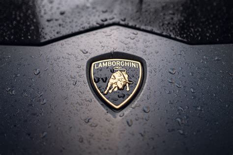 Lamborghini logotipo su auksaspalviu jaučiu pavaizdavimas